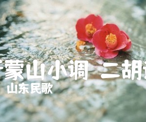 《沂蒙山小调（二胡谱）吉他谱》_山东民歌_D调 图片谱1张