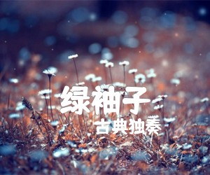 《绿袖子吉他谱》_古典独奏_经典练习曲_D调 图片谱1张