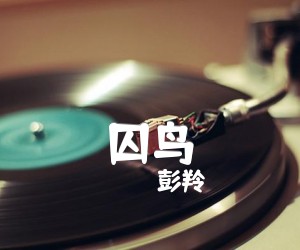 《囚鸟吉他谱》_彭羚_吉他图片谱1张