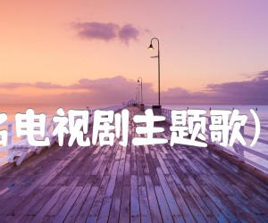 《渴望(同名电视剧主题歌) 二胡曲谱吉他谱》_雷蕾 图片谱1张