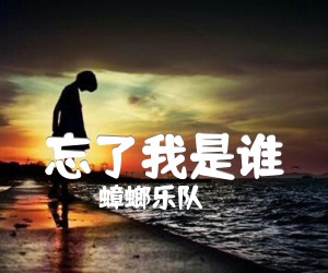 《忘了我是谁吉他谱》_蟑螂乐队 图片谱1张