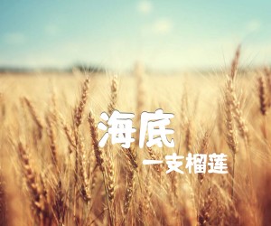 《海底吉他谱》_一支榴莲_G调 图片谱3张