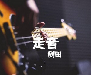 《走音吉他谱》_侧田 图片谱2张