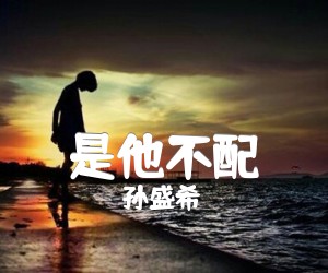 《是他不配吉他谱》_孙盛希_G调_吉他图片谱1张