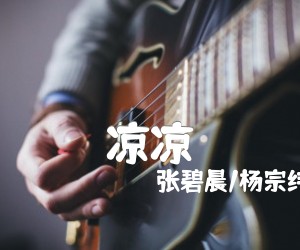 《凉凉吉他谱》_张碧晨/杨宗纬 图片谱5张