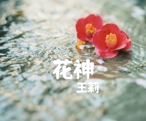 《花神吉他谱》_王莉_E调 图片谱1张