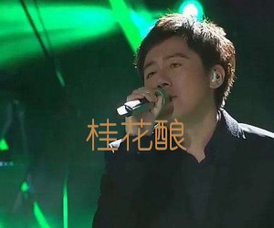 《桂花酿吉他谱》_张宇 文字谱