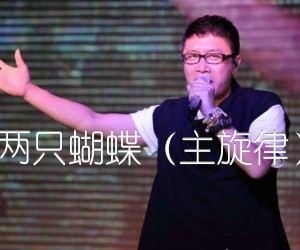 《两只蝴蝶（主旋律）吉他谱》_庞龙_吉他图片谱2张