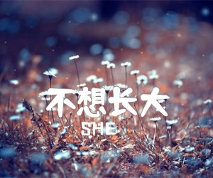 《不想长大吉他谱》_SHE_G调 图片谱1张