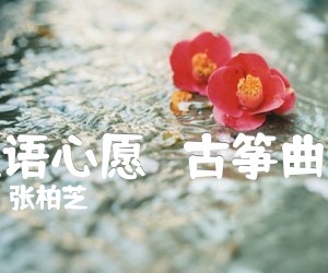 《星语心愿   古筝曲谱吉他谱》_张柏芝_D调 图片谱1张