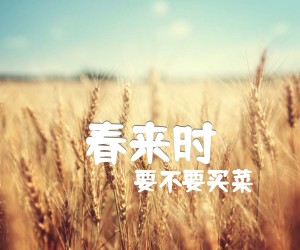 《春来时吉他谱》_要不要买菜_G调 图片谱2张