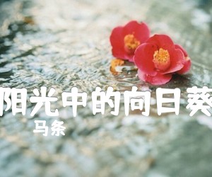 《阳光中的向日葵吉他谱》_马条_G调 图片谱1张