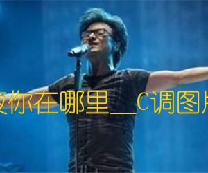 《亲爱的今夜你在哪里吉他谱》_汪峰_C调_吉他图片谱4张