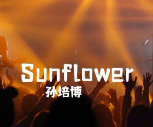 《Sunflower吉他谱》_孙培博_未知调 图片谱2张