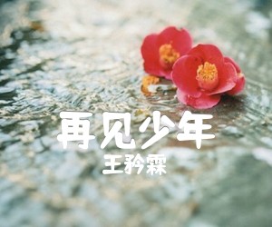 《再见少年吉他谱》_王矜霖 图片谱2张