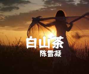 《白山茶吉他谱》_陈雪凝_C调 图片谱3张