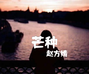 《芒种吉他谱》_赵方婧_G调 图片谱2张