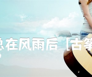 《阳光总在风雨后  [古筝曲谱]吉他谱》_许美静_D调_吉他图片谱1张