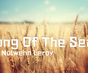 《Song Of The Sean吉他谱》_Nolwenn Leroy_C调 图片谱1张