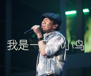 《我是一只小小鸟吉他谱》_赵传_未知调 图片谱2张