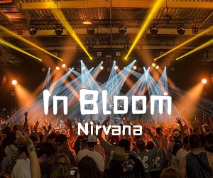 《In Bloom吉他谱》_Nirvana_未知调 图片谱2张