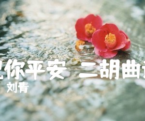 《祝你平安  二胡曲谱吉他谱》_刘青 图片谱1张