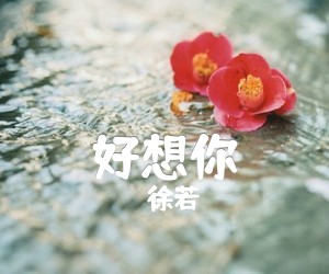 《好想你吉他谱》_徐若瑄 图片谱2张