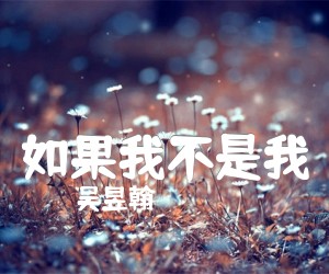 《如果我不是我吉他谱》_吴昱翰_C调 图片谱2张