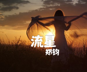 《流星吉他谱》_郑钧 文字谱