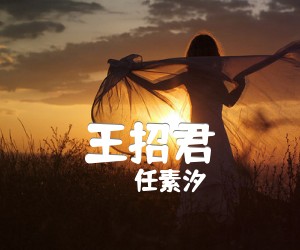 《王招君吉他谱》_任素汐_C调 图片谱2张