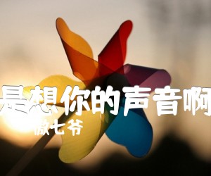 《是想你的声音啊吉他谱》_傲七爷_G调 图片谱3张