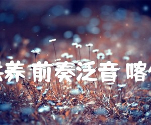 《爱的供养 前奏泛音 喀什怒放吉他谱》_何晟铭_C调 图片谱2张