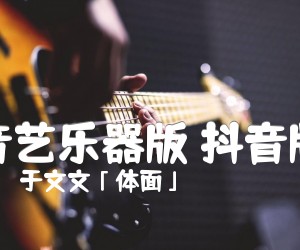 《音艺乐器版 抖音版吉他谱》_于文文「体面」 图片谱3张