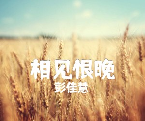 《相见恨晚吉他谱》_彭佳慧_C调 图片谱2张