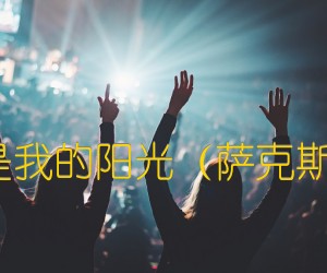 《你是我的阳光（萨克斯谱）吉他谱》_佚名_吉他图片谱1张