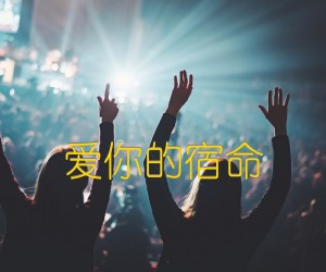 《爱你的宿命吉他谱》_佚名_吉他图片谱1张