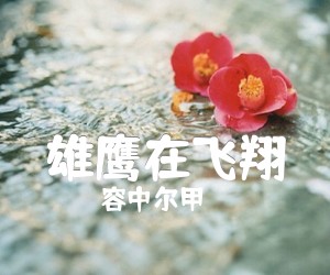 《雄鹰在飞翔吉他谱》_容中尔甲_A调 图片谱1张