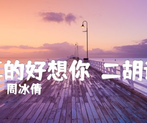 《真的好想你（二胡谱）吉他谱》_周冰倩_G调_吉他图片谱1张