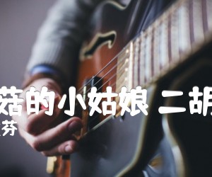 《采蘑菇的小姑娘 二胡曲谱吉他谱》_谷建芬_B调_吉他图片谱1张