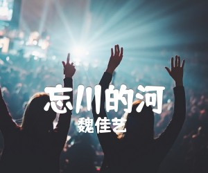 《忘川的河吉他谱》_魏佳艺_G调 图片谱2张