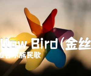 《Yellow Bird(金丝雀)吉他谱》_维吾尔族民歌 图片谱1张