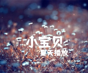 《小宝贝吉他谱》_夏天播放__C调六线谱完整版_C调 图片谱3张