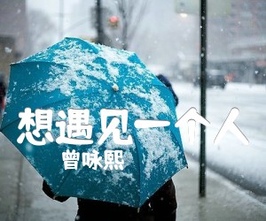 《想遇见一个人吉他谱》_曾咏熙_C调_吉他图片谱1张