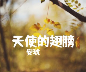 《天使的翅膀吉他谱》_安琥_指弹_X调_吉他图片谱3张