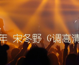 《年年 宋冬野 G调高清版吉他谱》_群星_G调 图片谱1张