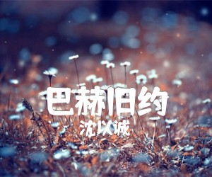 《巴赫旧约吉他谱》_沈以诚_C调 图片谱3张