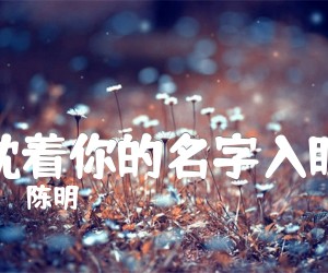 《枕着你的名字入眠吉他谱》_陈明_G调 图片谱1张