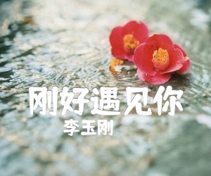 《刚好遇见你吉他谱》_李玉刚 图片谱4张