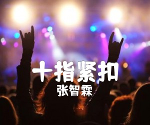 《十指紧扣吉他谱》_张智霖 文字谱