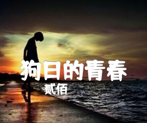 《狗日的青春吉他谱》_贰佰__G调图片谱完整版_G调 图片谱4张